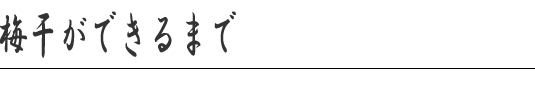 ₢킹